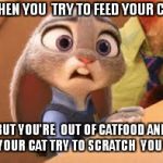 That One Zootopia Meme | WHEN YOU  TRY TO FEED YOUR CAT; BUT YOU'RE  OUT OF CATFOOD AND YOUR CAT TRY TO SCRATCH  YOU | image tagged in that one zootopia meme | made w/ Imgflip meme maker