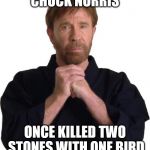 Determined Chuck Norris | CHUCK NORRIS; ONCE KILLED TWO STONES WITH ONE BIRD | image tagged in determined chuck norris | made w/ Imgflip meme maker