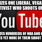 youtube | DEMONETIZES ONE LIBERAL, VEGAN, ANIMAL RIGHTS ACTIVIST WHO SHOOTS UP THE PLACE; DEMONETIZES HUNDREDS OF NRA AND OTHER GUN RELATED SITES YET NONE OF THEM SHOOT UP THE PLACE | image tagged in youtube | made w/ Imgflip meme maker