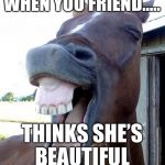 Funny Horse Face | WHEN YOU FRIEND..... THINKS SHE’S BEAUTIFUL | image tagged in funny horse face | made w/ Imgflip meme maker