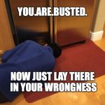 Sad fridge man | YOU.ARE.BUSTED. NOW JUST LAY THERE IN YOUR WRONGNESS | image tagged in sad fridge man | made w/ Imgflip meme maker