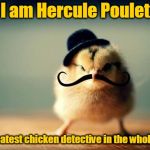 Who's going to solve the Murder on the Orient Egg-spress? Chicken Week, April 2-8, a JBmemegeek & giveuahint Event! | I am Hercule Poulet; The greatest chicken detective in the whole world | image tagged in chicken - baby chick with mustache,memes,chicken,chicken week,hercule poirot,murder on the orient express | made w/ Imgflip meme maker