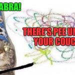Just like magic! | ABRA CATDABRA! THERE'S PEE UNDER YOUR COUCH. | image tagged in high wizard cat,cats,cat | made w/ Imgflip meme maker