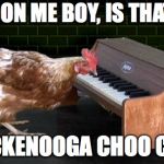 is that the chickenooga choo choo | PARDON ME BOY, IS THAT THE; CHICKENOOGA CHOO CHOO | image tagged in piano playing chicken,chicken week,chicken | made w/ Imgflip meme maker