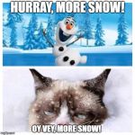 No more snow  | HURRAY, MORE SNOW! OY VEY, MORE SNOW! | image tagged in no more snow | made w/ Imgflip meme maker
