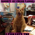 CAT NIP ICECREAM | AHHHHH! NO WAY! YOU MIXED CAT NIP INTO ME FAVORITE ICE CREAM FLAVOR? I CAN EATS THE ICE CREAM YES? | image tagged in cat nip icecream | made w/ Imgflip meme maker