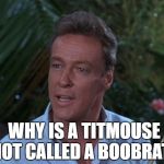 Answer me this then. | WHY IS A TITMOUSE NOT CALLED A BOOBRAT? | image tagged in professor from gilligans island,you,dont,know,the mouse is not a rat,funny gilligan meme | made w/ Imgflip meme maker