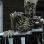 Winter Skeleton