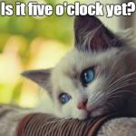 Fridays...*sigh* | Is it five o'clock yet? | image tagged in sad kitten,friday | made w/ Imgflip meme maker