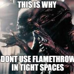 xenomorph hands | THIS IS WHY; YOU DONT USE FLAMETHROWERS IN TIGHT SPACES | image tagged in xenomorph hands | made w/ Imgflip meme maker