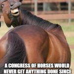 Yea or Neigh? | A CONGRESS OF HORSES WOULD NEVER GET ANYTHING DONE SINCE THEY'D VOTE "NEIGH" EVERY TIME. | image tagged in horses ass | made w/ Imgflip meme maker