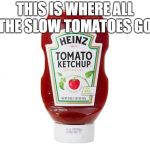 Ketchup | THIS IS WHERE ALL THE SLOW TOMATOES GO | image tagged in ketchup | made w/ Imgflip meme maker
