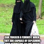 Progressive muslim conservative women wearing shades, so the book about souls comes true. | CAN TRIGGER A FEMINIST, WHEN THEY ARE CAPABLE OF EXPLAINING HOW REWRITING AN EVIL QUEEN IN THEIR BOOK IS BAD FOR SOCIETY | image tagged in muslim feminist,feminist,angry feminist,muslim women,soul mates,bible | made w/ Imgflip meme maker
