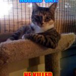 The Most Superior Cat In The World | THIS IS CHUCK NORRIS' CAT. HE KILLED CURIOSITY. | image tagged in memes,the most interesting cat in the world,chucknorris,curiosity,kill cat | made w/ Imgflip meme maker