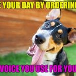 whose a good boy? | IMPROVE YOUR DAY BY ORDERING COFFEE; IN THE VOICE YOU USE FOR YOUR PETS | image tagged in tilt dog,memes,coffee,pets,dog | made w/ Imgflip meme maker