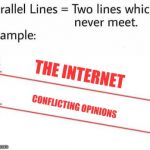 Come on, they'll always exist. It's a fact of life | THE INTERNET; CONFLICTING OPINIONS | image tagged in parellel lines,memes,opinion | made w/ Imgflip meme maker