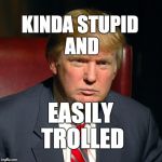 Kinda stupid and easily trolled | KINDA STUPID AND; EASILY TROLLED | image tagged in trump,donald trump,maga | made w/ Imgflip meme maker