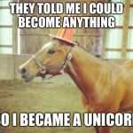 Aye Horse | THEY TOLD ME I COULD BECOME ANYTHING; SO I BECAME A UNICORN | image tagged in aye horse | made w/ Imgflip meme maker