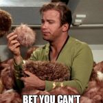 Kirk and Tribbles | TRIBBLES; BET YOU CAN'T HAVE JUST ONE | image tagged in captain kirk,tribbles,star trek | made w/ Imgflip meme maker