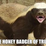 Honey Badger | THE HONEY BADGER OF TRUTH | image tagged in honey badger | made w/ Imgflip meme maker