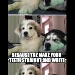 Brought back one of my favorite jokes in meme form | WHY DO LIBERALS HATE DENTISTS; BECAUSE THE MAKE YOUR TEETH STRAIGHT AND WHITE | image tagged in bad joke dogs | made w/ Imgflip meme maker