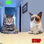Go, STOP. | GO; STOP | image tagged in grump | made w/ Imgflip meme maker