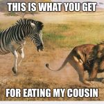 Zebra chasing a lion | THIS IS WHAT YOU GET; FOR EATING MY COUSIN | image tagged in zebra chasing a lion | made w/ Imgflip meme maker