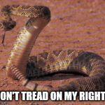 snake bite  | DON'T TREAD ON MY RIGHTS | image tagged in snake bite | made w/ Imgflip meme maker