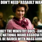 Voldemort also approves of the seizures argument | YOU DON'T NEED "ASSAULT WANDS"; ONLY THE MINISTRY DOES - AND THE NATIONAL WAND ASSOCIATION WILL BE RAIDED WITH MASS ARRESTS | image tagged in dolores umbridge,nra,school shooting,guns | made w/ Imgflip meme maker