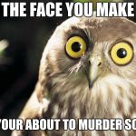 owl thing | THE FACE YOU MAKE; WHEN YOUR ABOUT TO MURDER SOMEONE | image tagged in owl thing | made w/ Imgflip meme maker