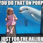 dolphin | DID YOU DO THAT ON PORPOISE; OR JUST FOR THE HALIBUT? | image tagged in dolphin | made w/ Imgflip meme maker
