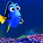 DORY