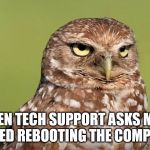 Death Stare Owl | WHEN TECH SUPPORT ASKS ME IF I TRIED REBOOTING THE COMPUTER | image tagged in death stare owl,tech support,stupid questions | made w/ Imgflip meme maker