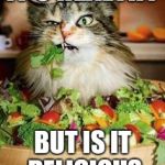 salad-cat | IT'S HEALTHY; BUT IS IT DELICIOUS | image tagged in salad-cat | made w/ Imgflip meme maker
