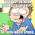 Eddsworld What are you Talking About?! | WHAT DO YOU MEAN EDD KILLED SUSAN!?!? EDD:THERE WAS A SPIDER.... | image tagged in eddsworld what are you talking about | made w/ Imgflip meme maker