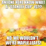 Bright autumn leaves | ANYONE HERE KNOW WHAT A "STANLEY CUP" IS?? NO, WE WOULDN'T; WE'RE MAPLE LEAFS! | image tagged in bright autumn leaves | made w/ Imgflip meme maker