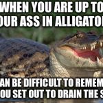 I'm Sure Custer Had a Plan, Too. | WHEN YOU ARE UP TO YOUR ASS IN ALLIGATORS; IT CAN BE DIFFICULT TO REMEMBER THAT YOU SET OUT TO DRAIN THE SWAMP | image tagged in alligator | made w/ Imgflip meme maker