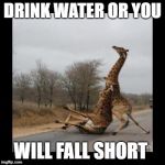 Giraffe falling  | DRINK WATER OR YOU; WILL FALL SHORT | image tagged in giraffe falling | made w/ Imgflip meme maker