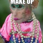 Monkey make up | WHEN YOUR MAKE UP; IS ON POINT.. | image tagged in monkey make up | made w/ Imgflip meme maker