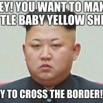 North Korean leader | HEY! YOU WANT TO MAKE LITTLE BABY YELLOW SHITS; GO TRY TO CROSS THE BORDER! BABY | image tagged in north korean leader | made w/ Imgflip meme maker