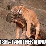 sleeping lion | AH! SH#T ANOTHER MONDAY | image tagged in sleeping lion | made w/ Imgflip meme maker