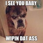 I see you baby... Wipin dat ass! | I SEE YOU BABY; WIPIN DAT ASS | image tagged in angry training dog,funny,funny dogs,bathroom,wipe | made w/ Imgflip meme maker