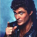 the hoff