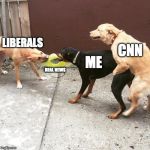 This is the Media | LIBERALS REAL NEWS ME CNN | image tagged in this is my life,cnn,liberals,fake news | made w/ Imgflip meme maker