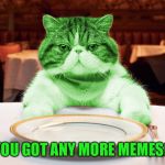 RayCat Hungry | YOU GOT ANY MORE MEMES? | image tagged in raycat hungry,memes,imgflip | made w/ Imgflip meme maker
