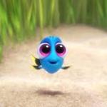 baby dory meme