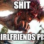 Monster Hunter | SHIT; MY GIRLFRIENDS PISSED | image tagged in monster hunter | made w/ Imgflip meme maker