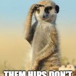 Meerkat | MMMMHMMMM; THEM HIPS DON'T LIE GIRL | image tagged in meerkat | made w/ Imgflip meme maker