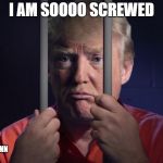 Trump Behind Bars | I AM SOOOO SCREWED; ANGRYYMANN | image tagged in trump behind bars | made w/ Imgflip meme maker