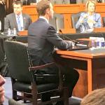 Zuckerberg Booster Seat